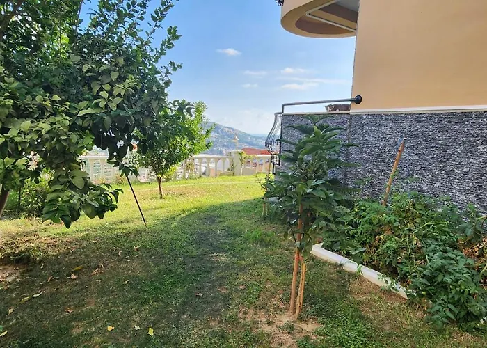 Ferdi Kiralama * Alanya